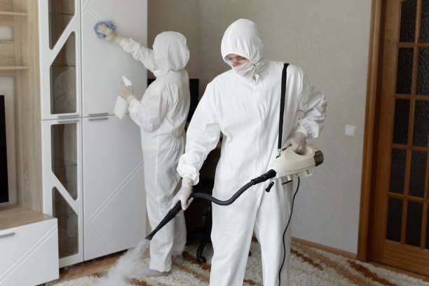 Mold Odor Removal Services in Bon Secour, AL